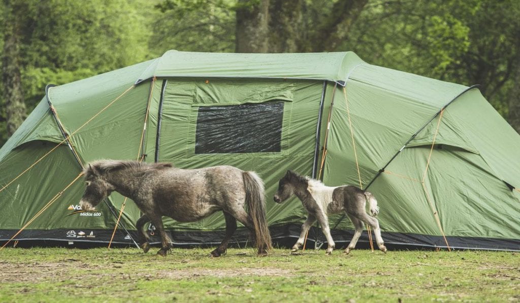 Opting for the full festival experience? Our top 5 campsites near Lymington